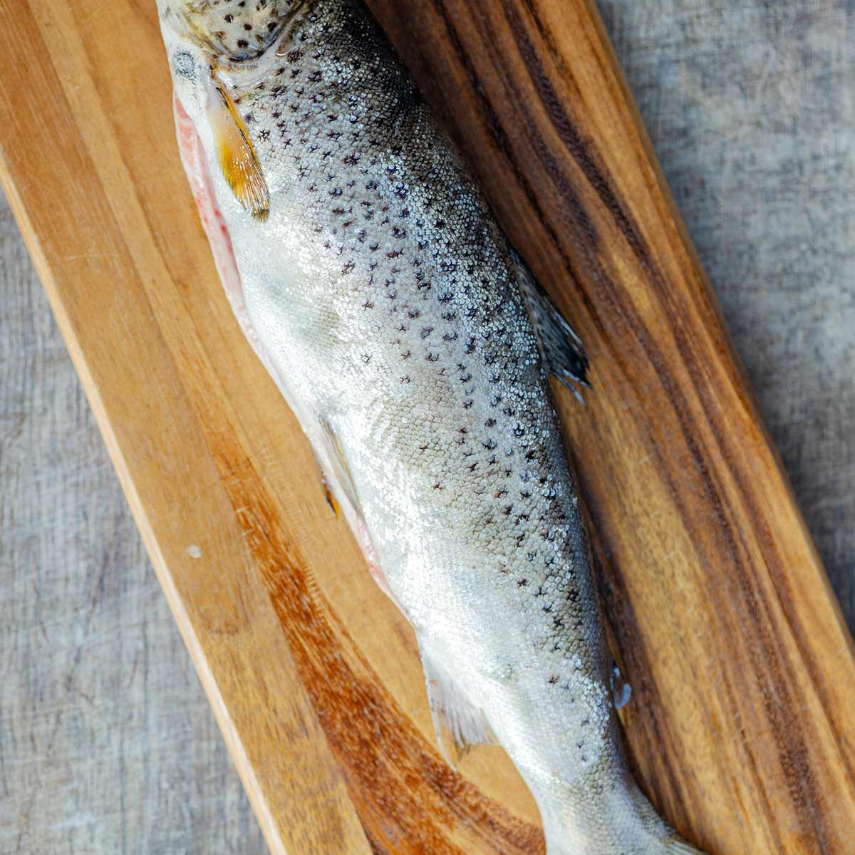 Wild trout - exclusively at Rockfish