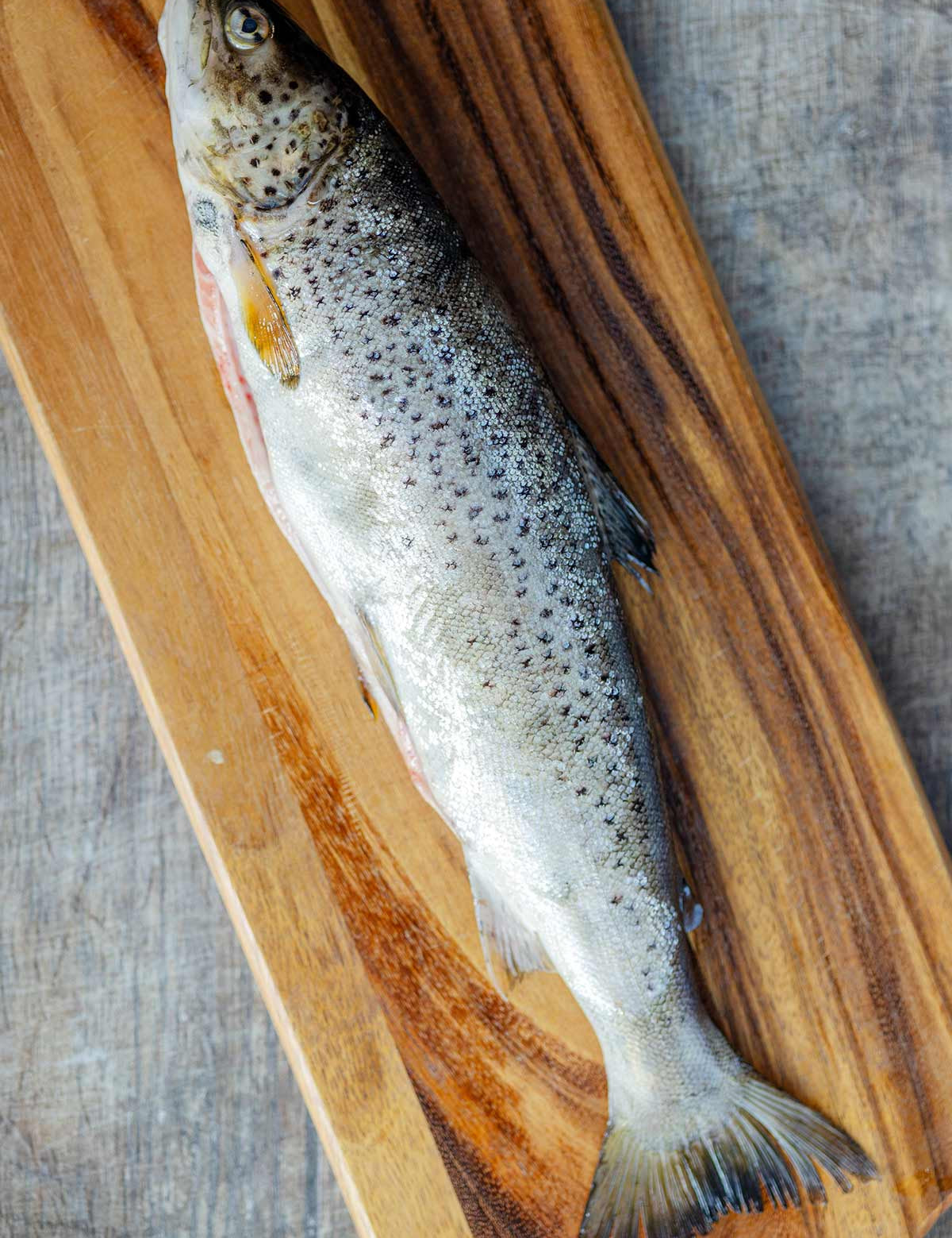 Wild trout - exclusively at Rockfish