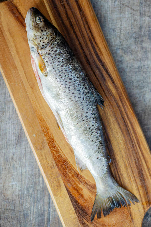 Wild trout - exclusively at Rockfish