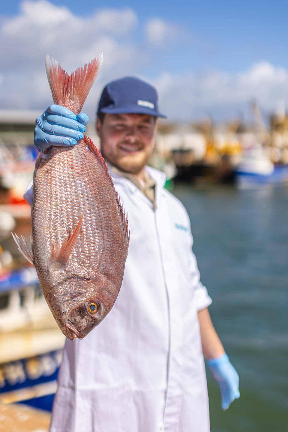 Tommy the Rockfish fishmonger holding a couches bream on the quayside in Brixham