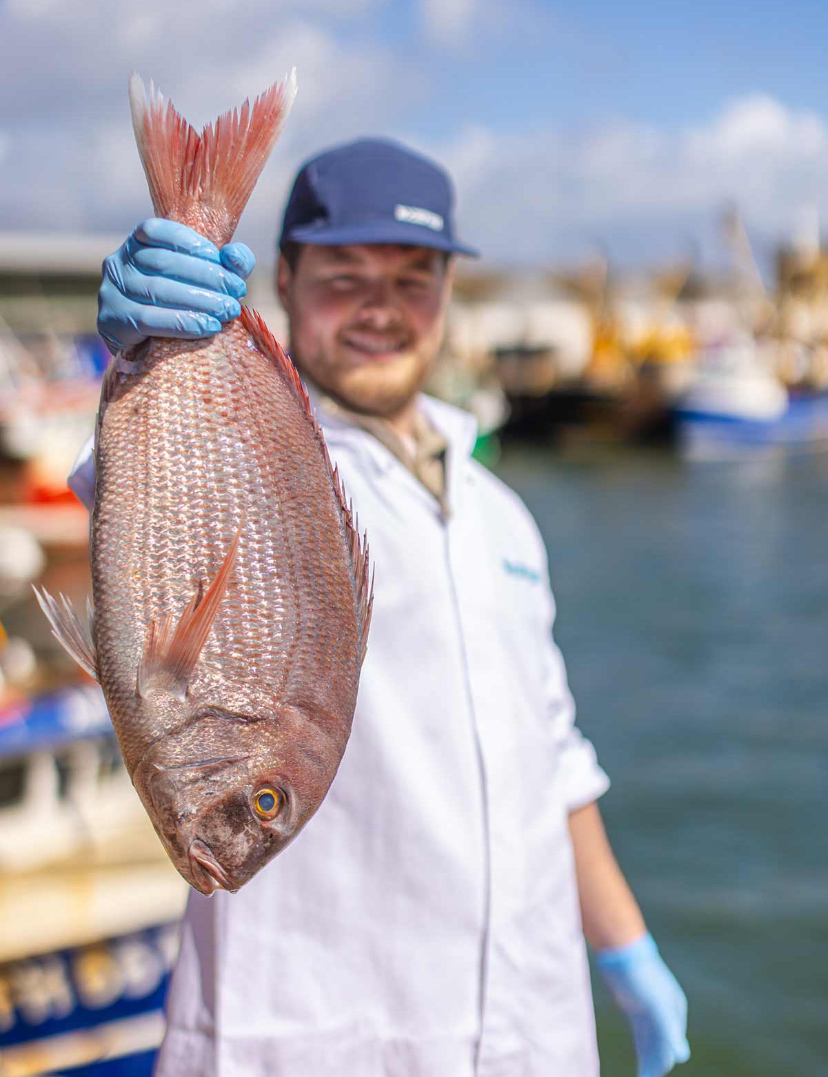 Tommy the Rockfish fishmonger holding a couches bream on the quayside in Brixham