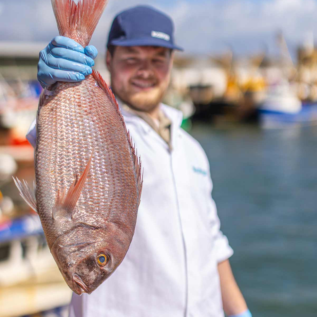 Tommy the Rockfish fishmonger holding a couches bream on the quayside in Brixham