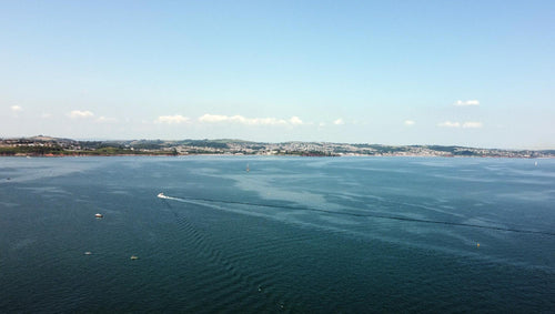 The Online Seafood Market and The Devon Environment Foundation