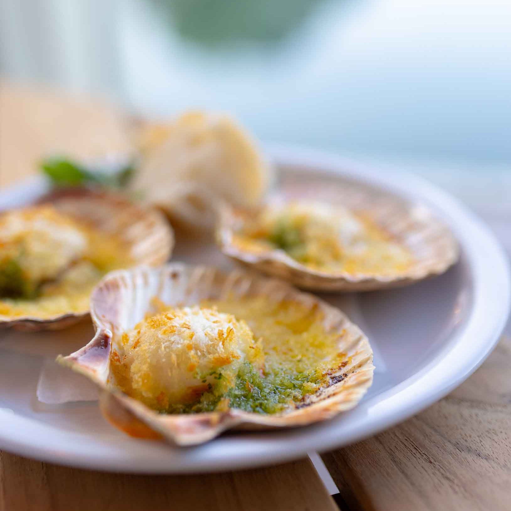 Dancing for Joy with Disco Scallops™