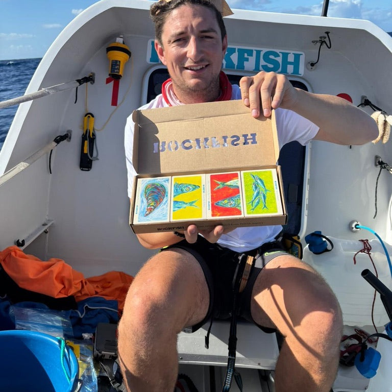 Adventures at Sea - Christmas Update!