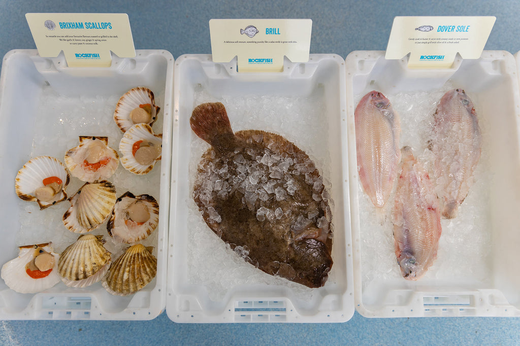 Fresh local seafood for sale in Brixham