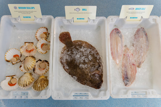 Fresh local seafood for sale in Brixham