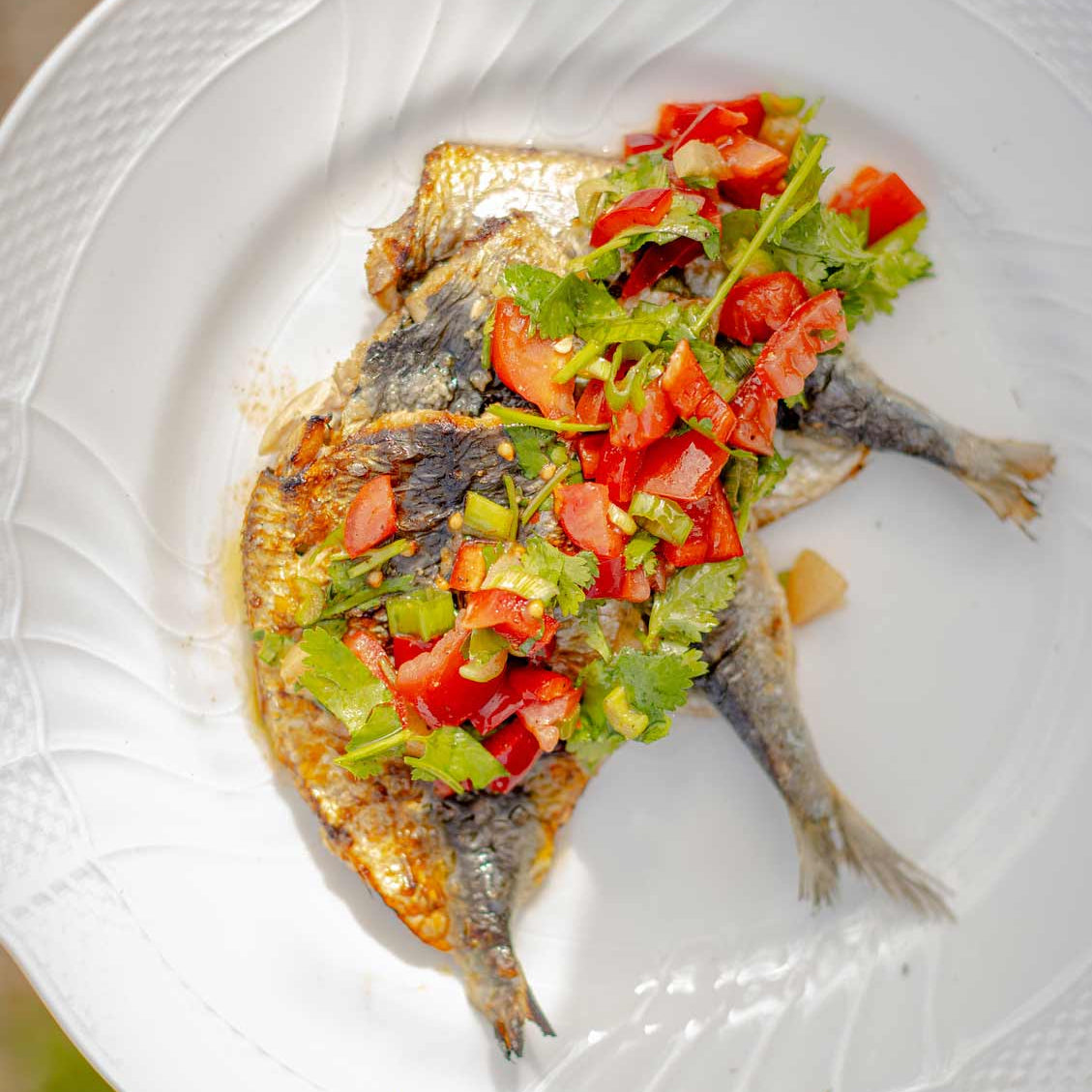 Grilled sardines with Essaouira salad recipe - Order fresh and frozen sardines for UK nationwide delivery the next day