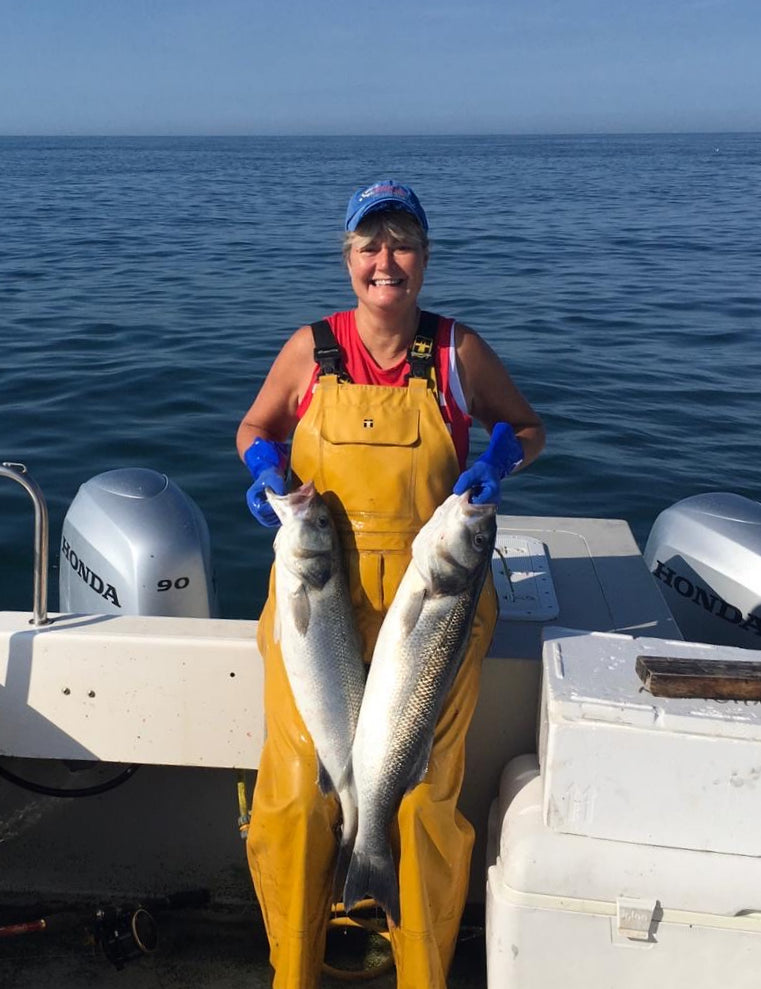Protecting sea bass stocks for the future
