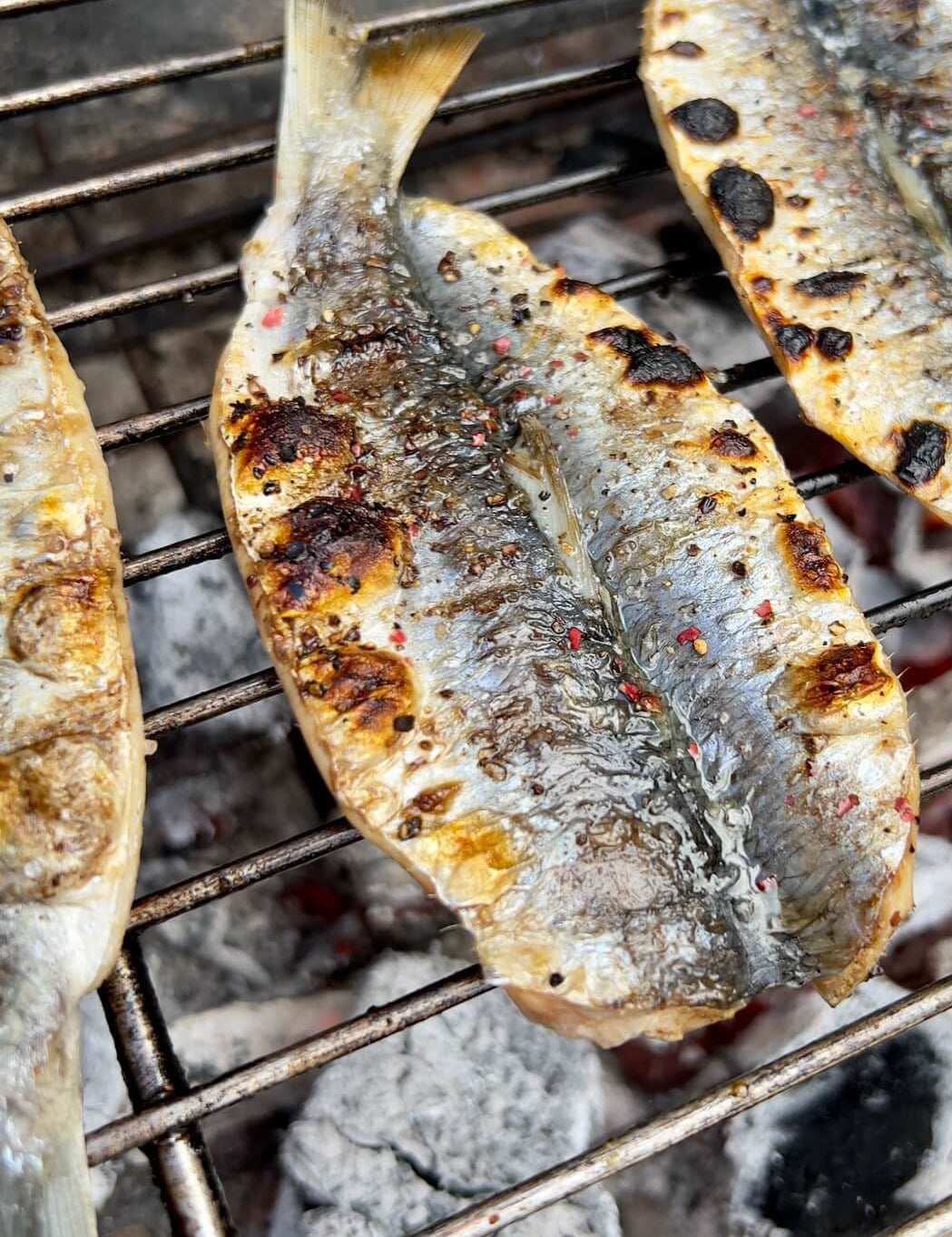 Grilled herring on barbecue