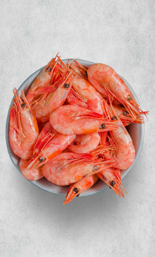 Prawn Fresh Shell Eating our shell on Prawns – Rockfish