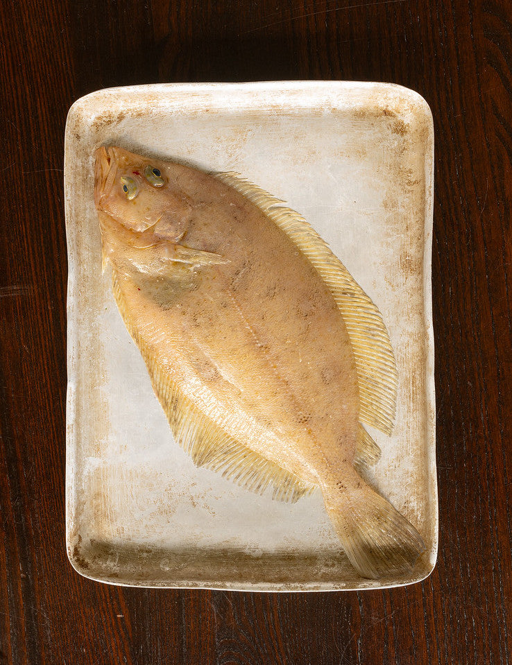 Megrim: The tastiest fish you’ve never even heard of!