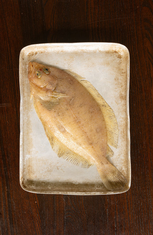 Megrim: The tastiest fish you’ve never even heard of!