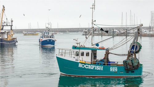 Rockfisher