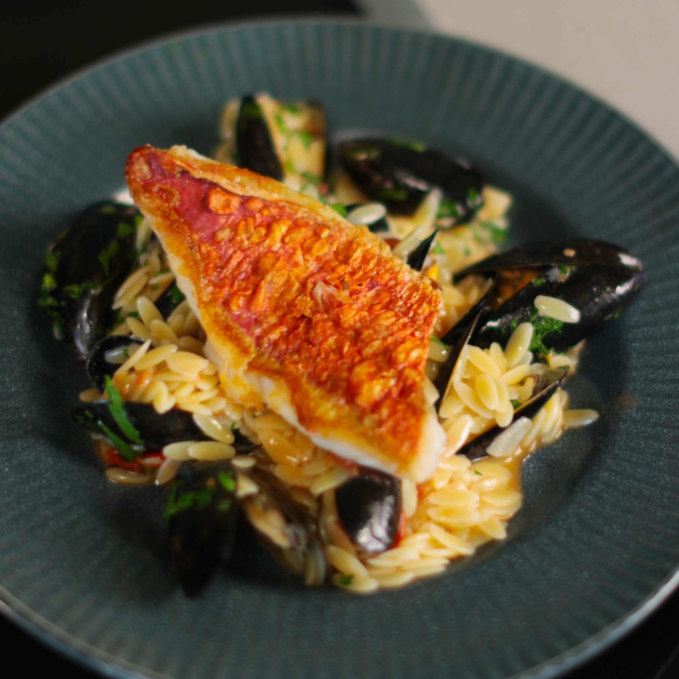 Pan-fried red mullet with orzo and mussels