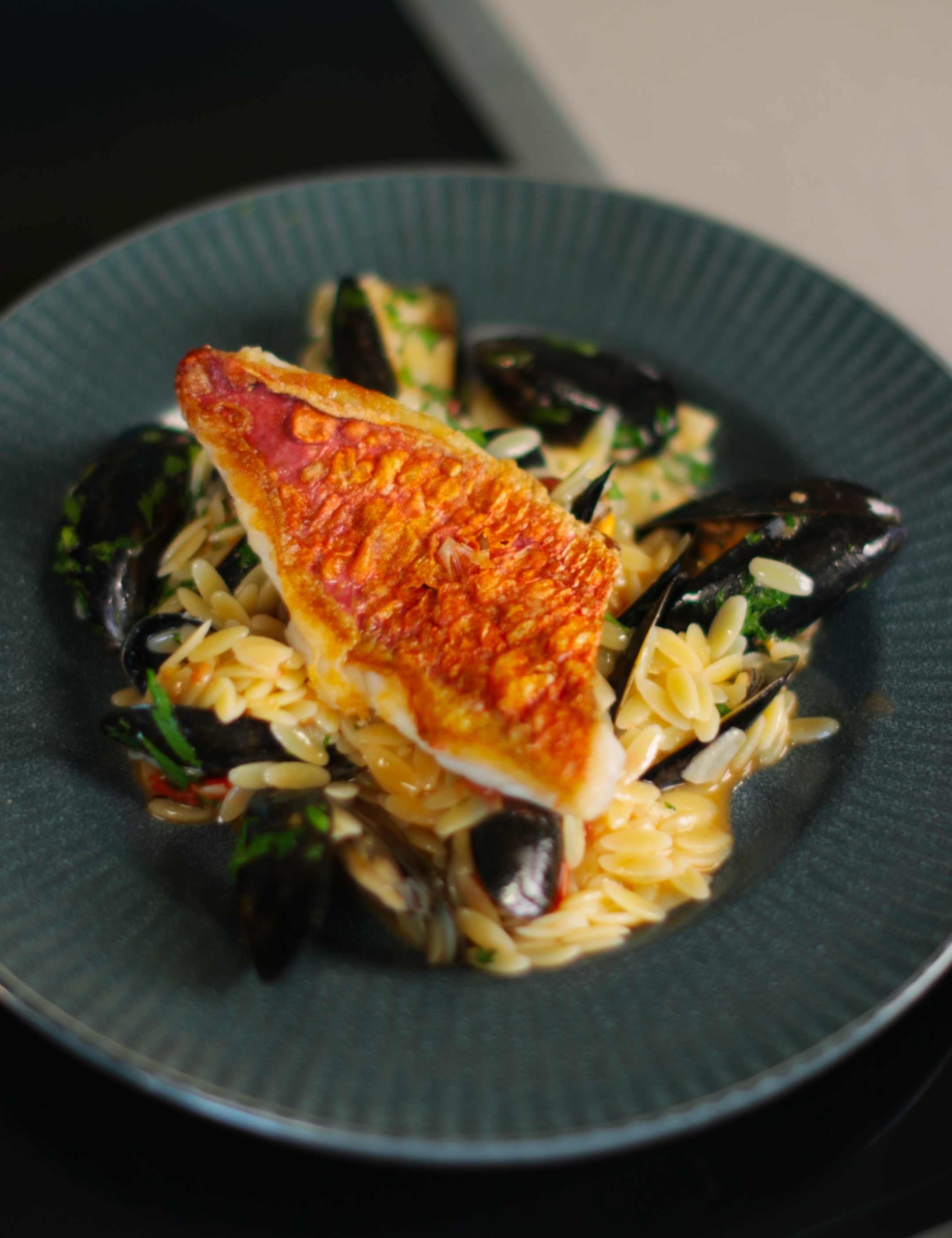 Pan-fried red mullet with orzo and mussels