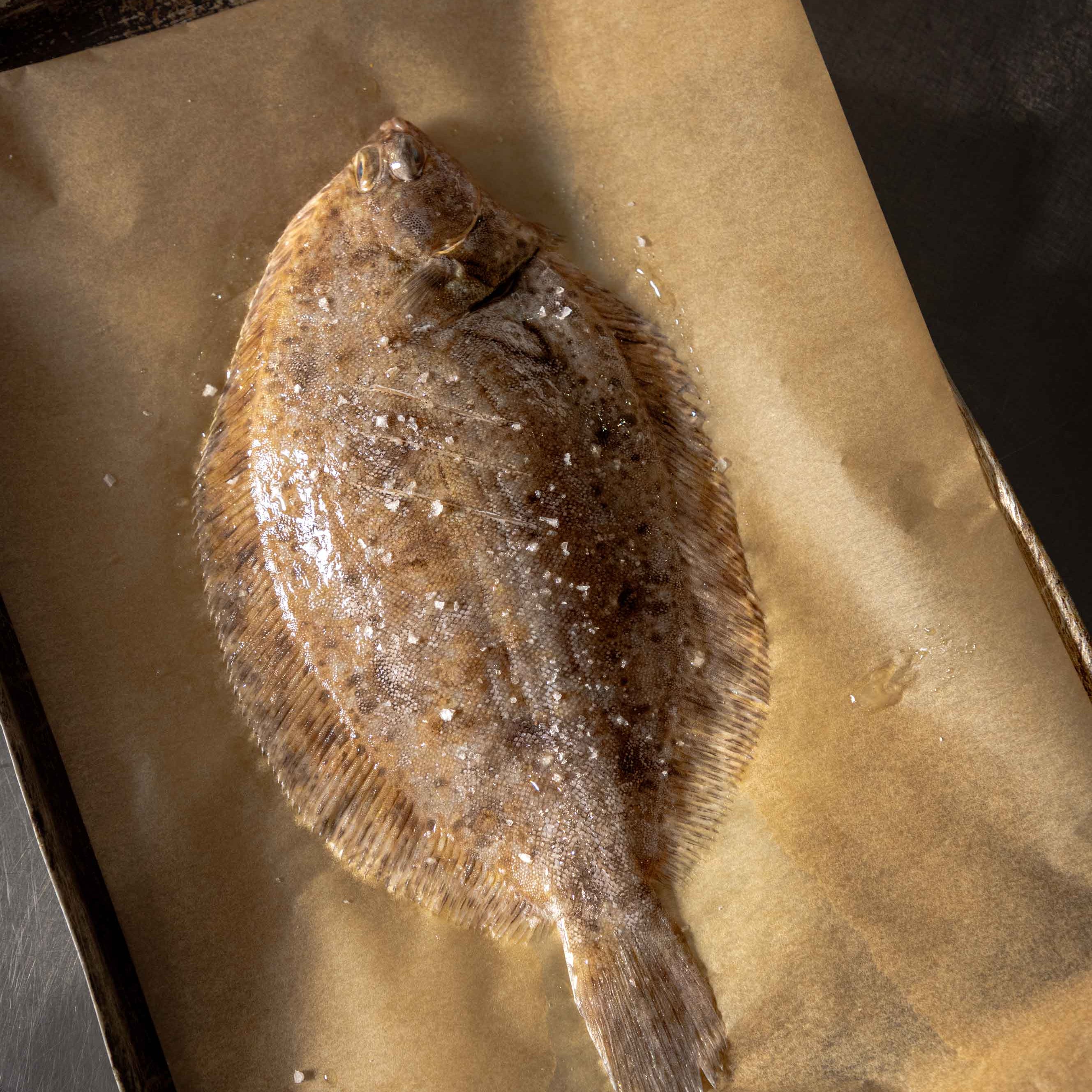 Lemon Sole on a tray ready to be cooked at Rockfish