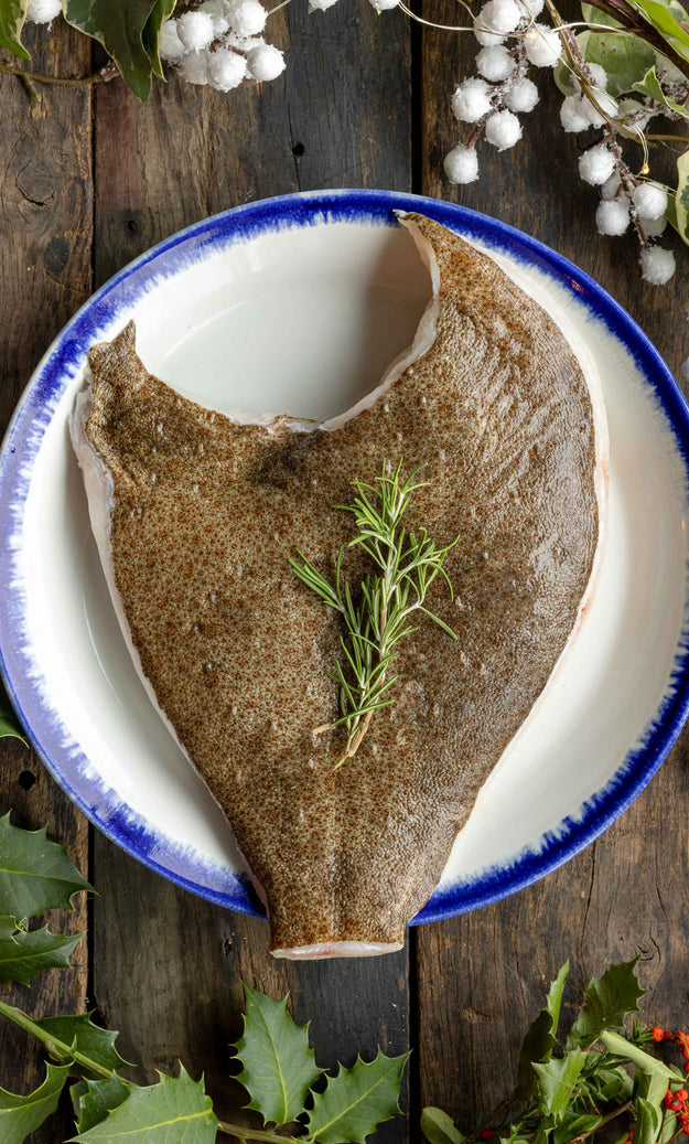 Turbot sharer