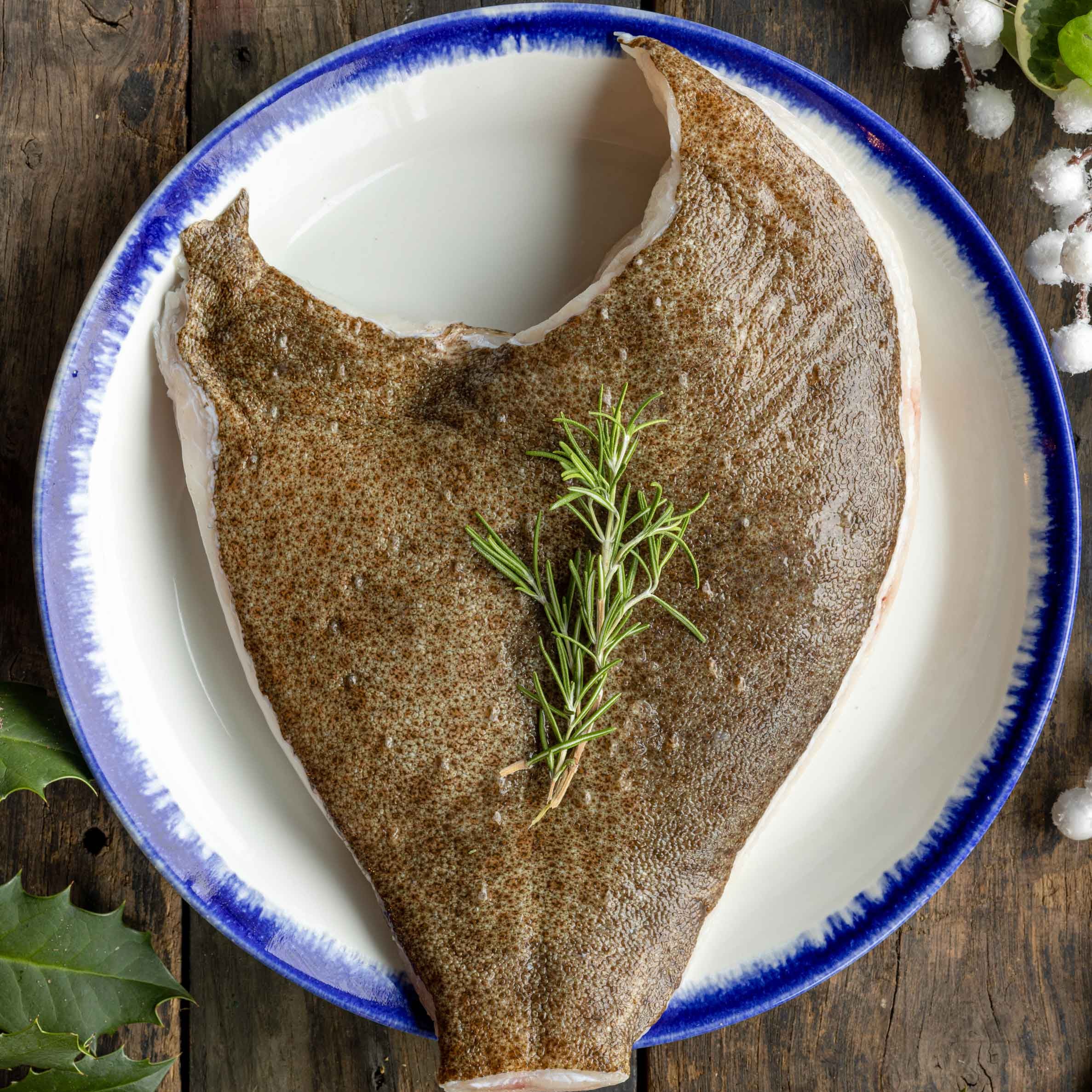 Turbot sharer