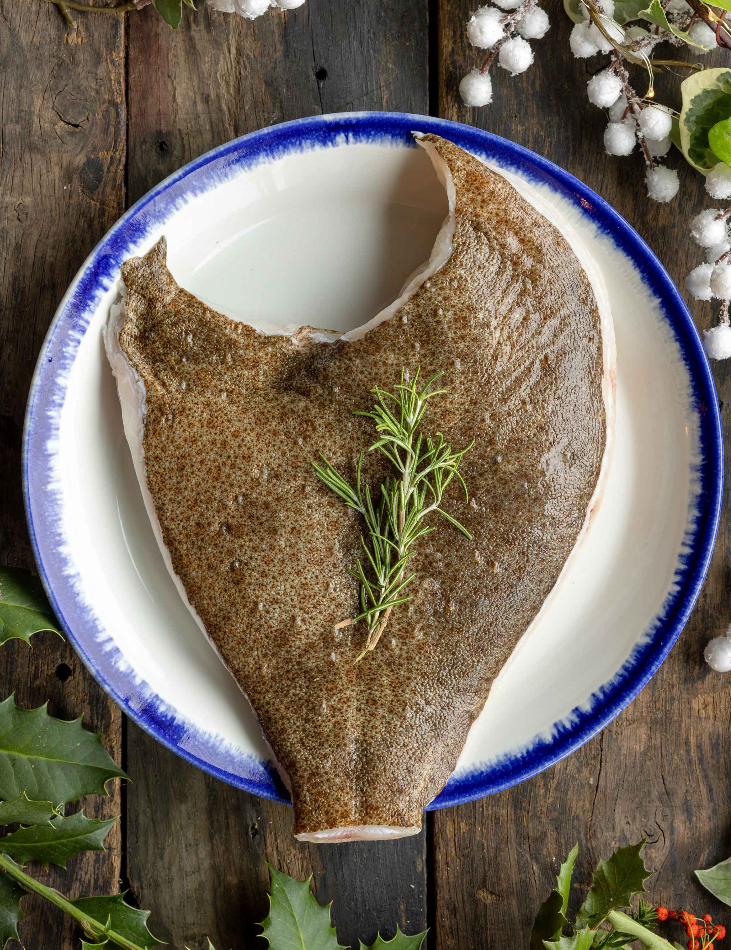 Turbot sharer