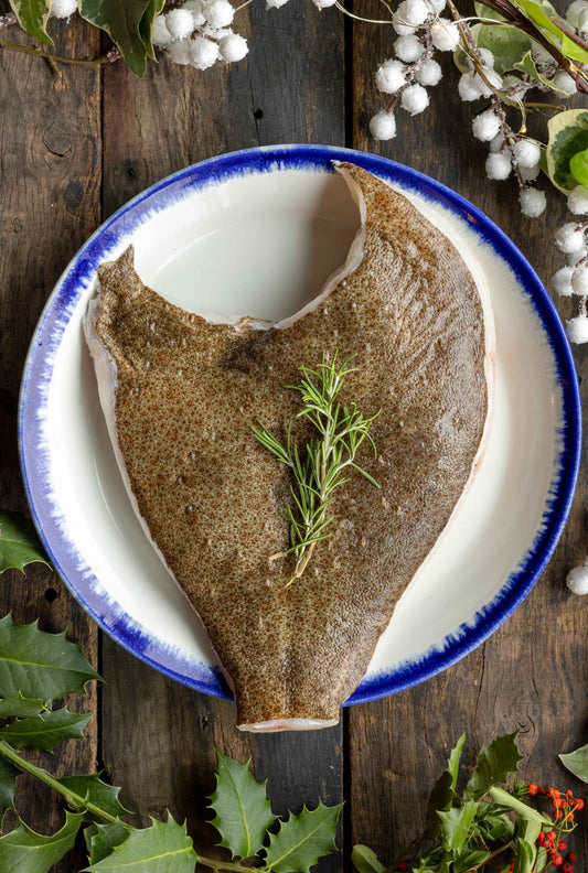 Turbot sharer