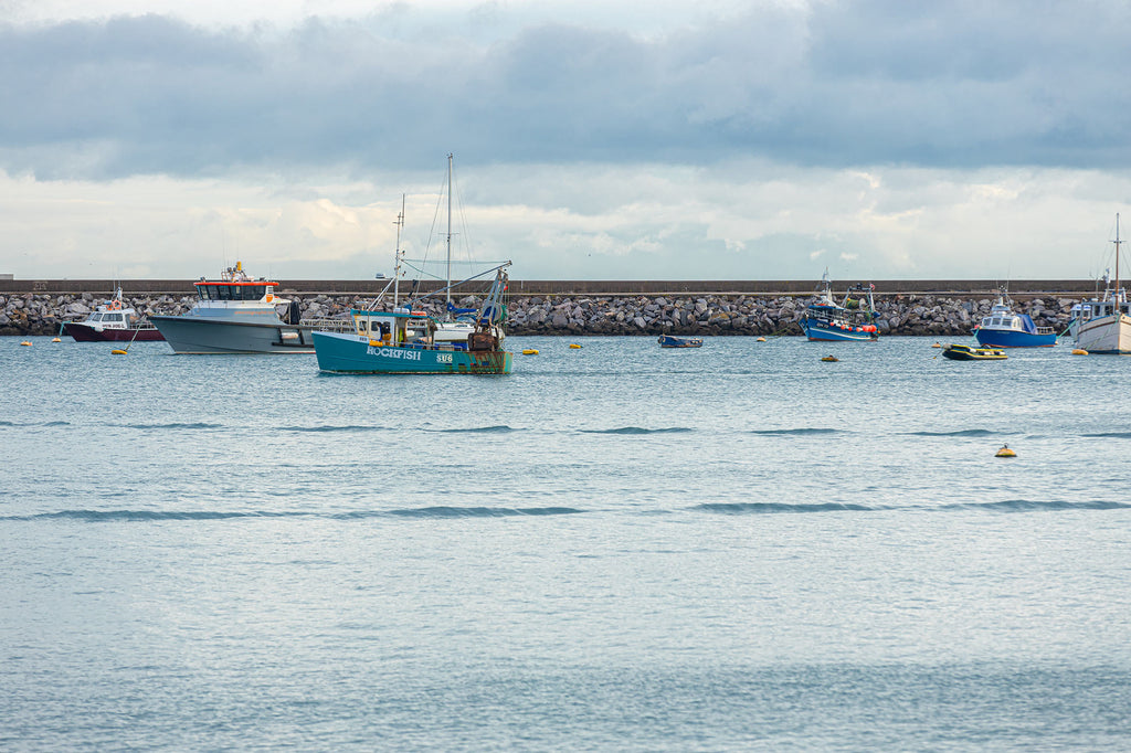 Our own boat - Rockfisher