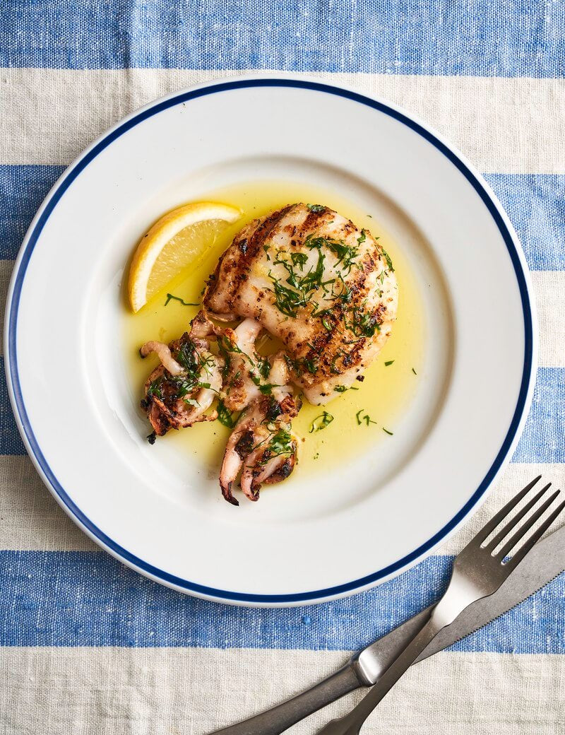 The Secret World of Squid and Cuttlefish