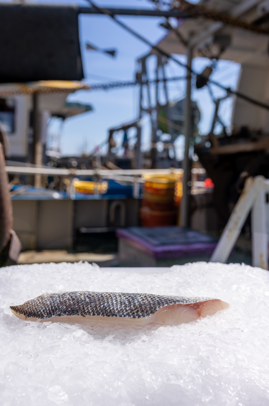 How to get amazing quality fish in the eye of a storm