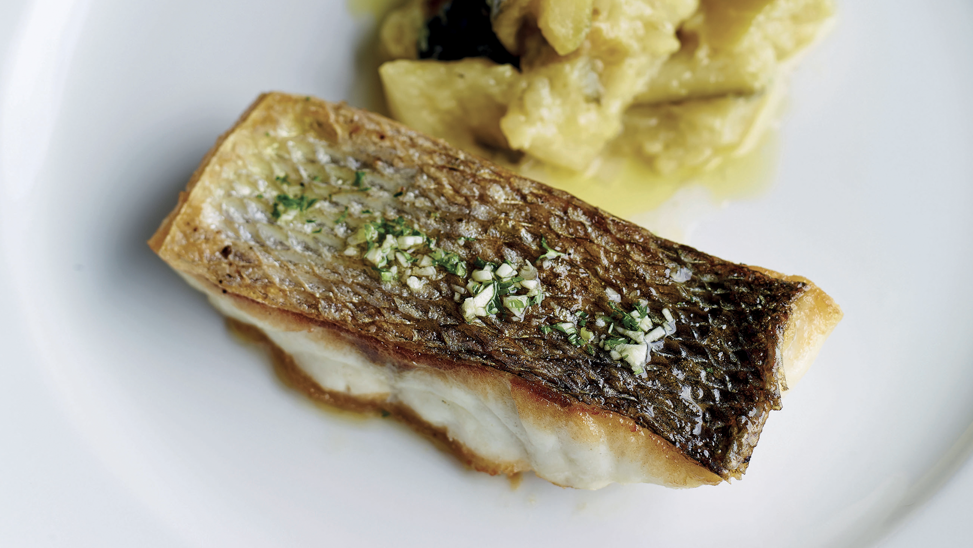 Sea bass with braised courgettes