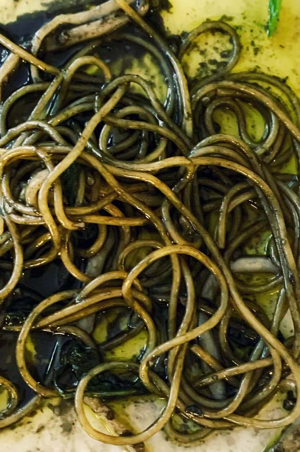 Seafood Recipes Page 4 Rockfish