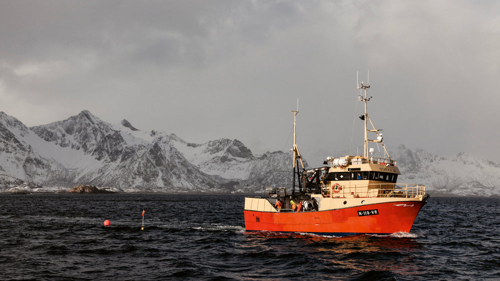 Sustainable seasonal seafood