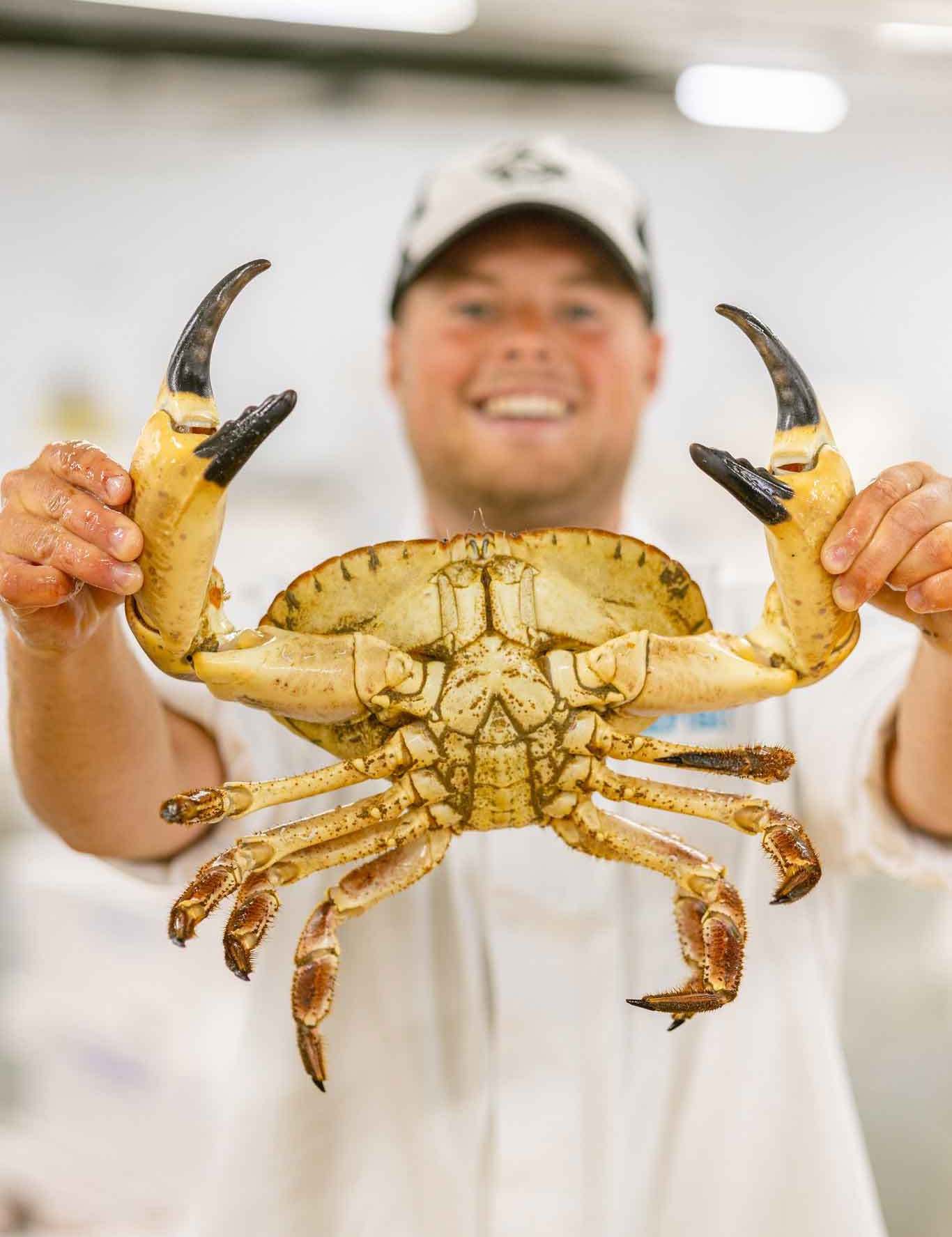 Our fishmonger Tommy holding a brown crab
