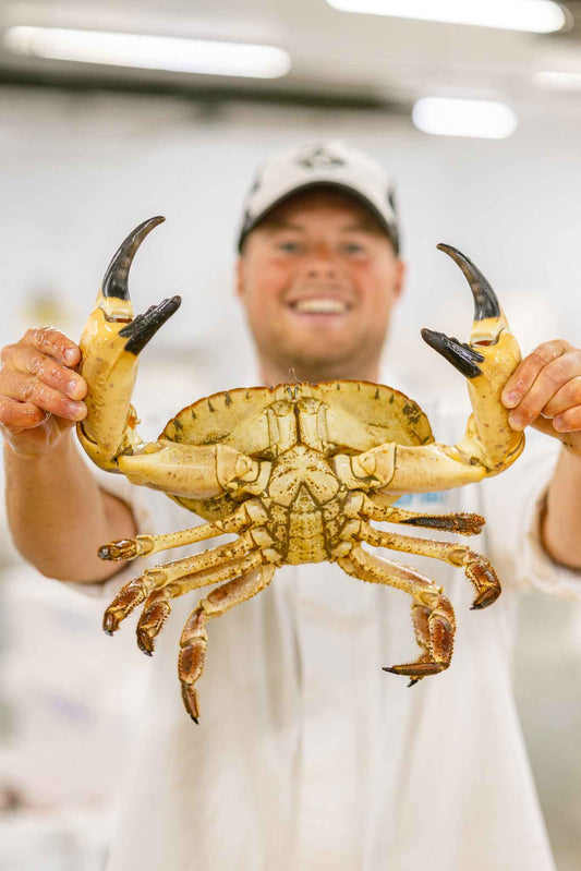 Our fishmonger Tommy holding a brown crab