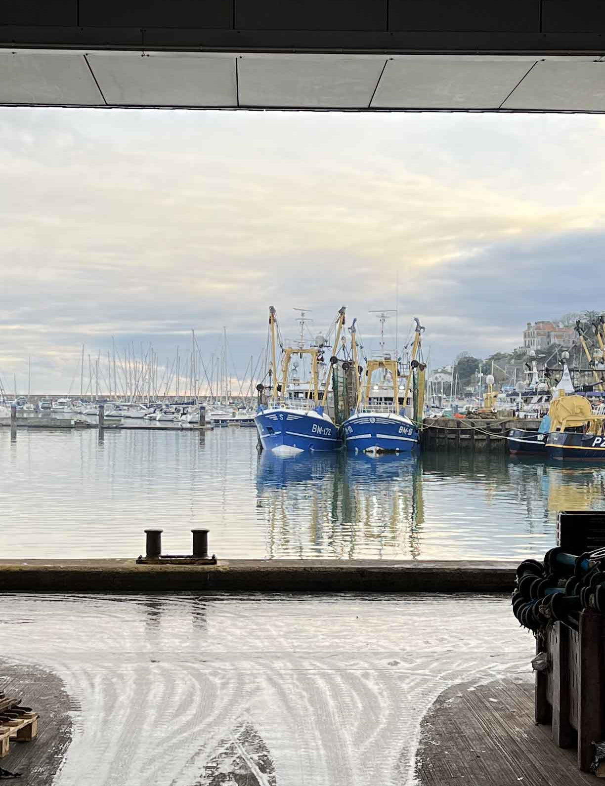 Is bottom trawling bad?