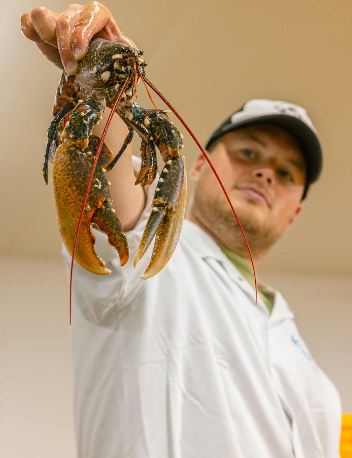 Our fishmonger Tommy holding a whole lobster