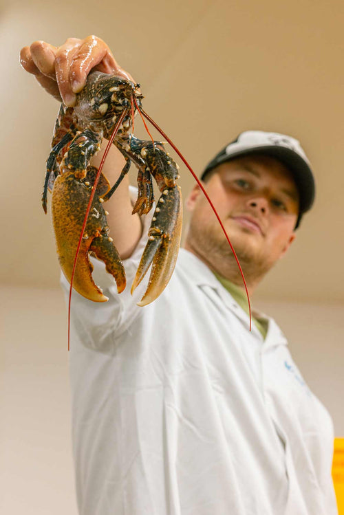 Our fishmonger Tommy holding a whole lobster