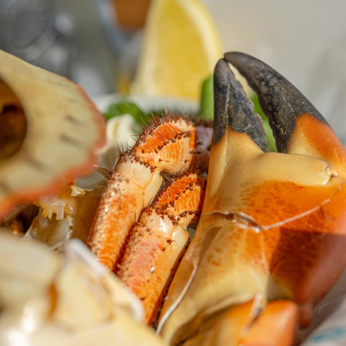 Cracked Crab claw at Rockfish