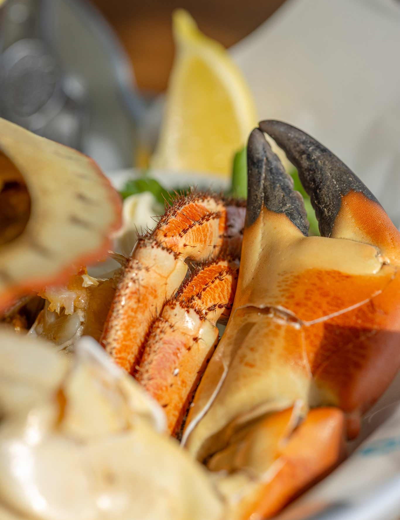 Cracked Crab claw at Rockfish