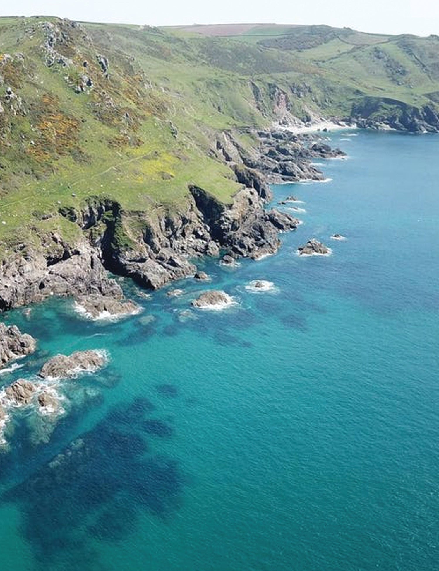 Devon Environment Foundation