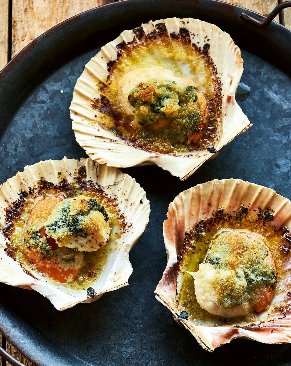 Scallop Recipe Rockfish Sustainable Seafood