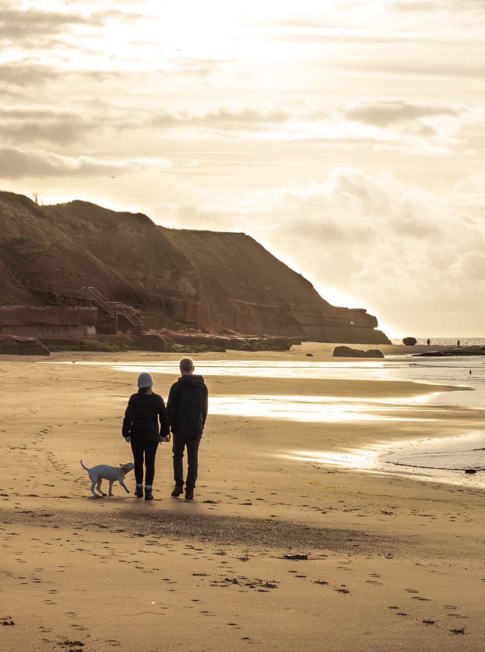 Best dog friendly beaches in Devon