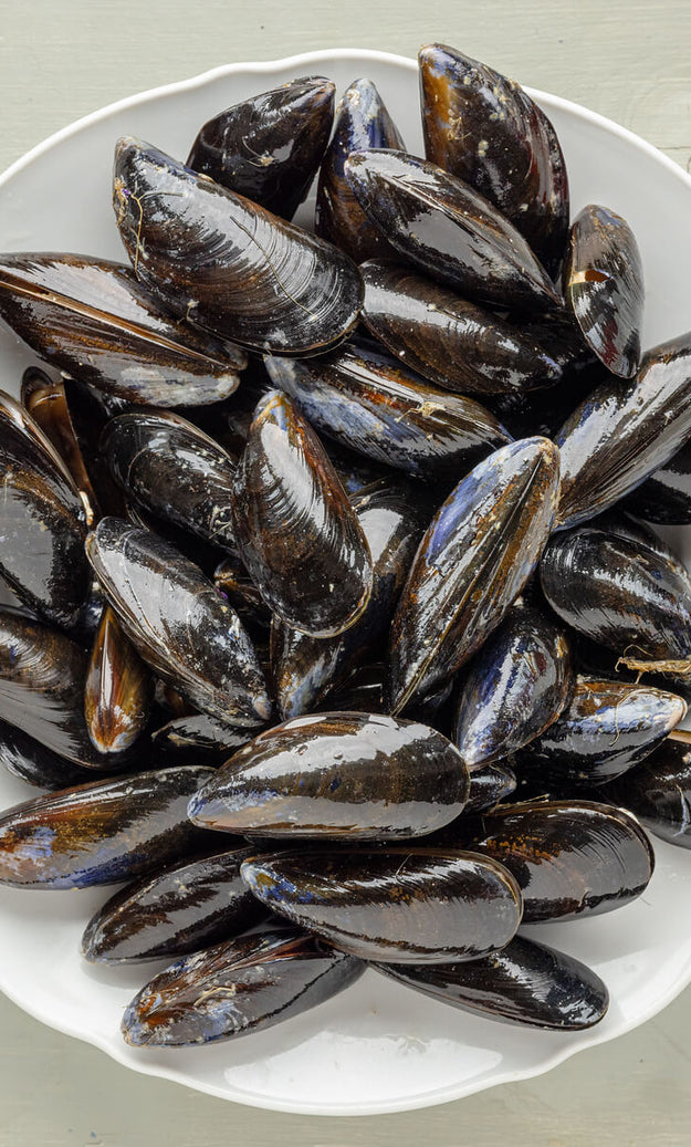 Why mussels are the ultimate food for the future