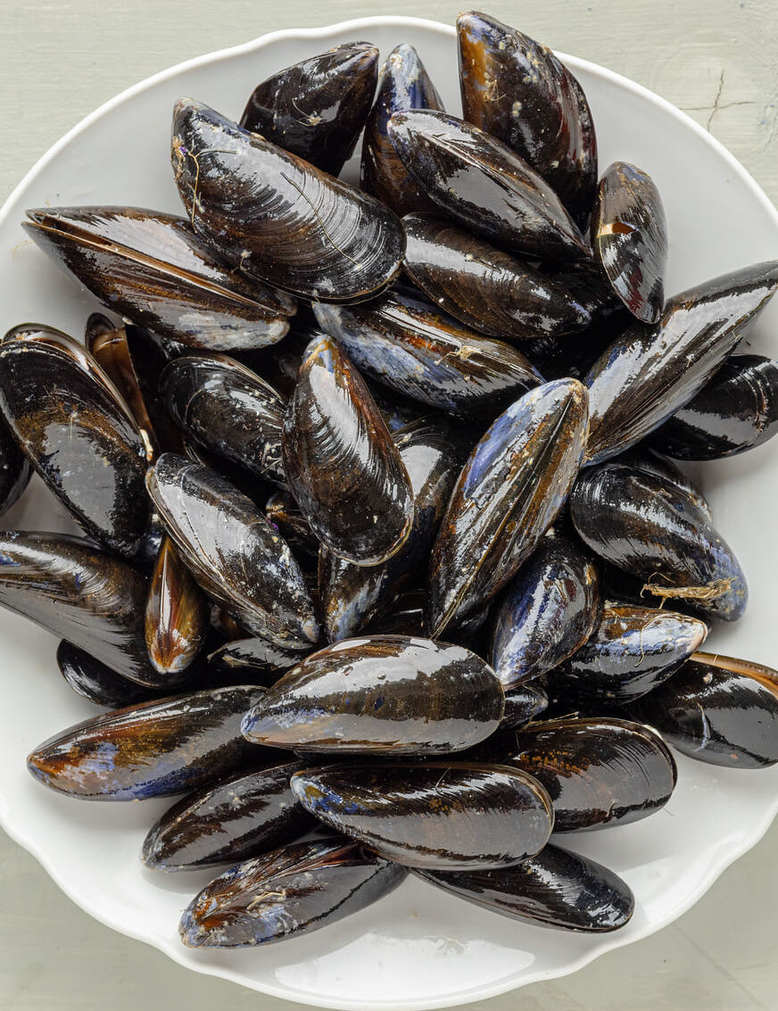 Why mussels are the ultimate food for the future