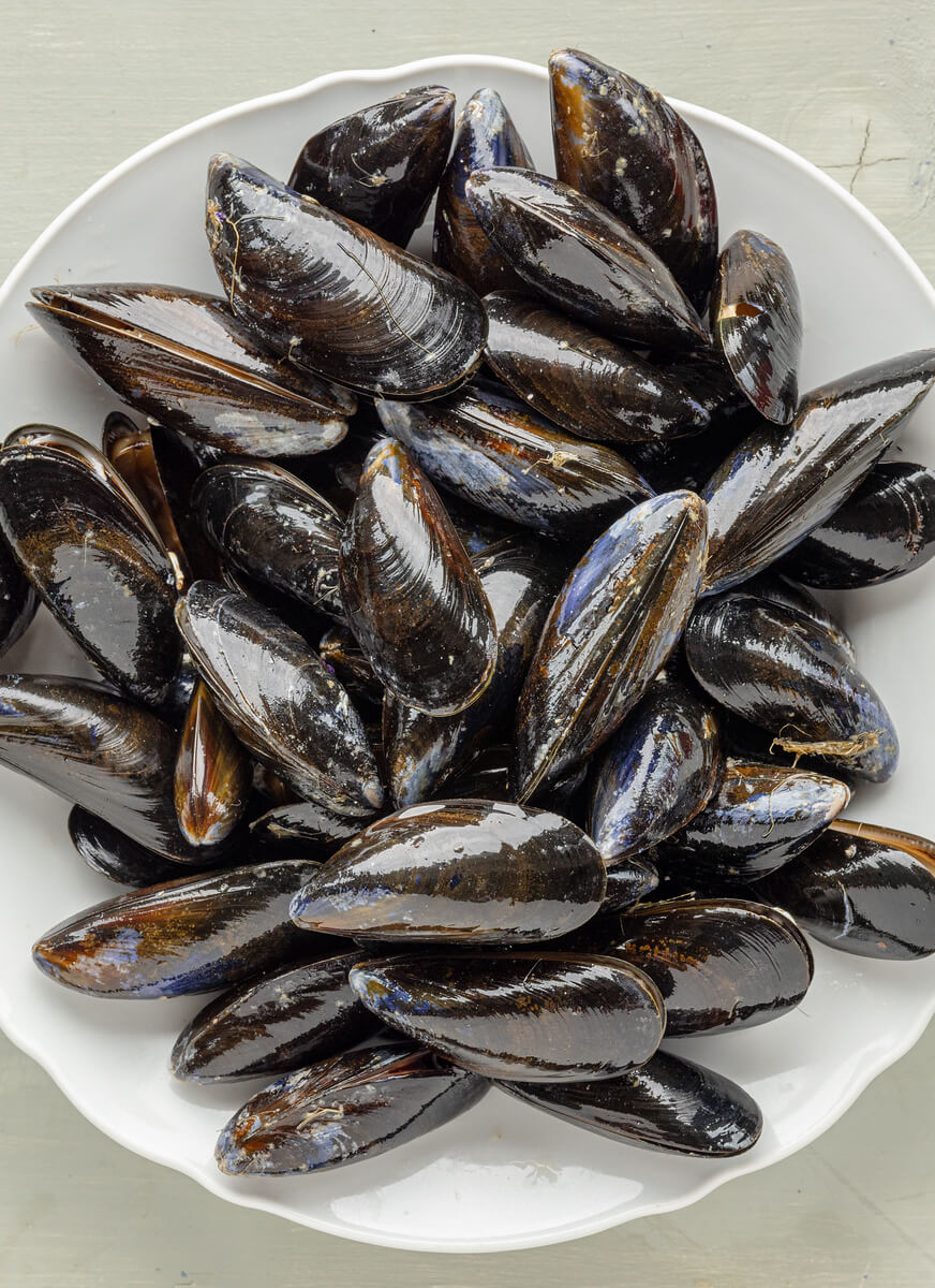 Why mussels are the ultimate food for the future