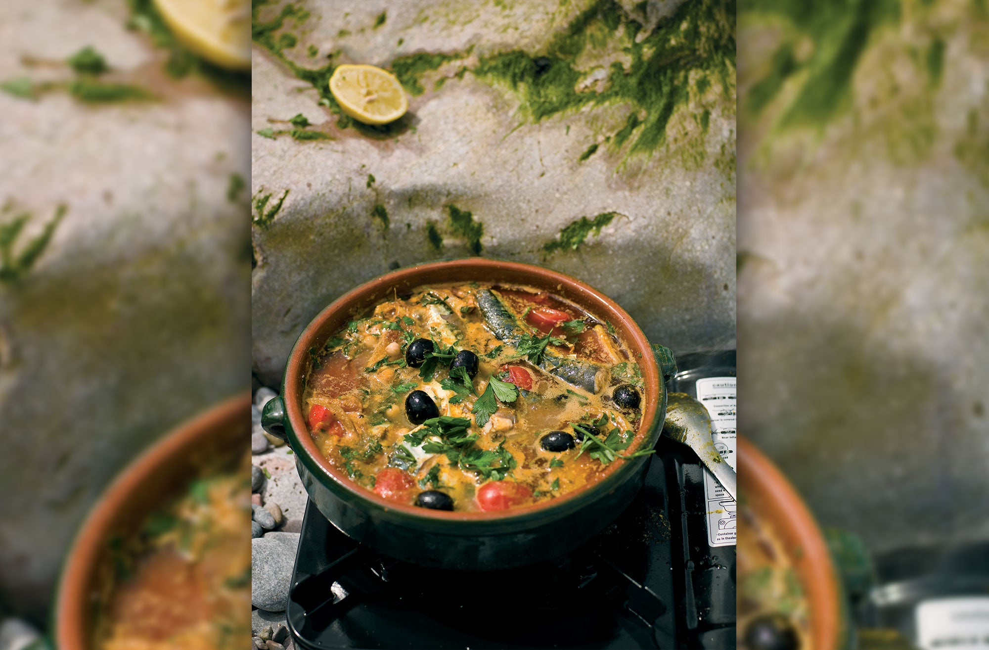 Roasted Mackerel with North African Spices