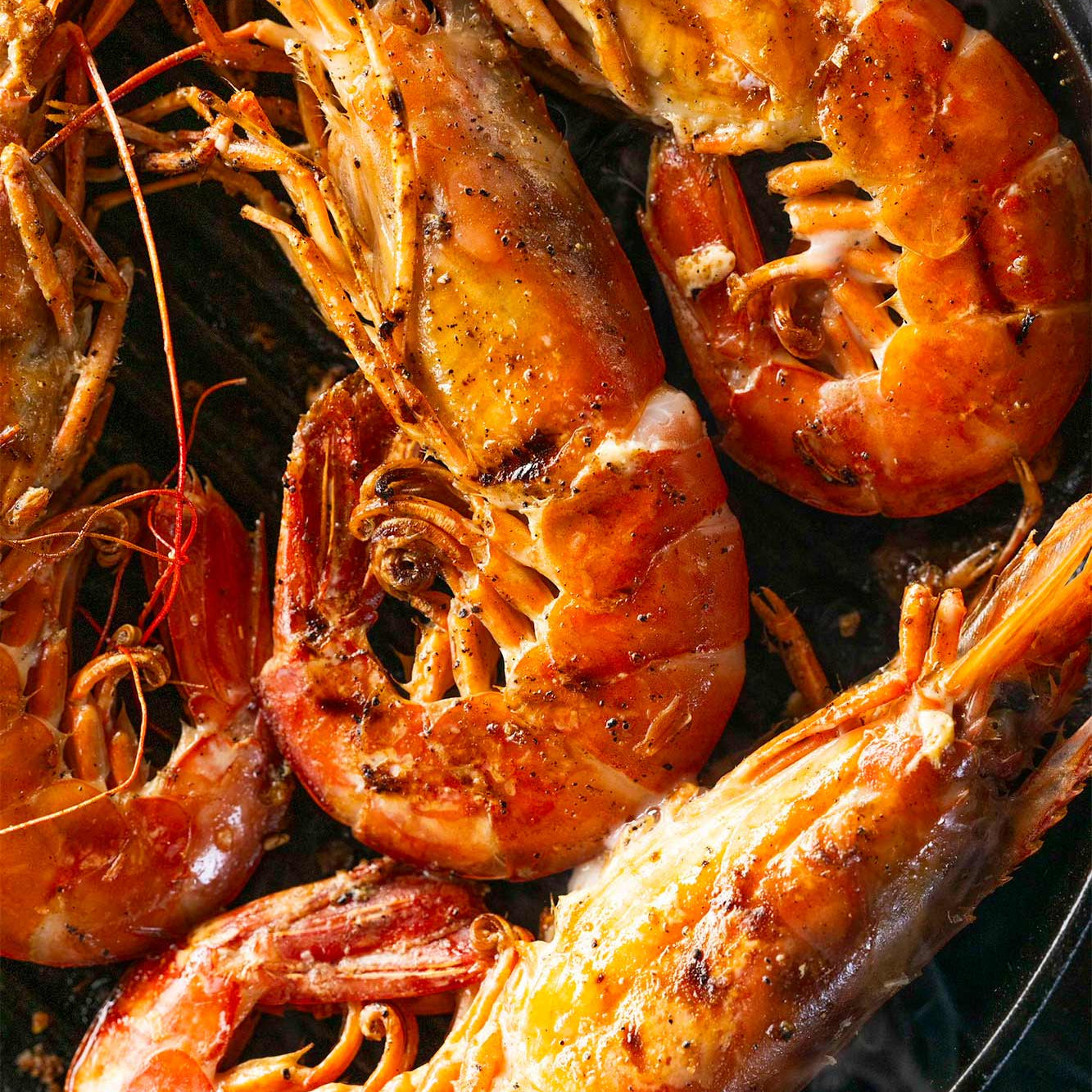 Wild caught atlantic king prawns