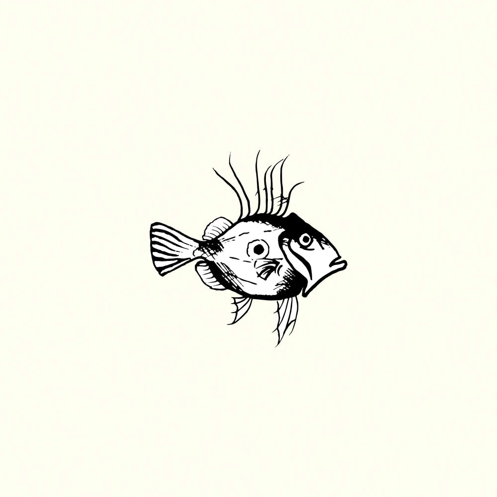 John Dory