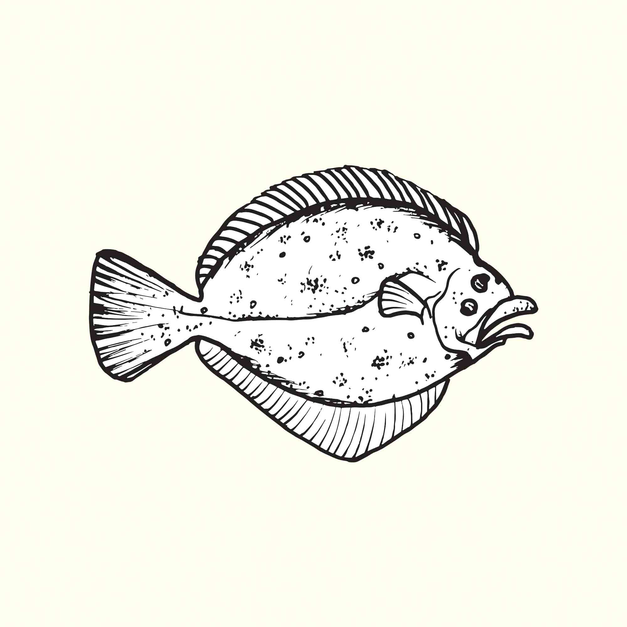 Brill Illustration