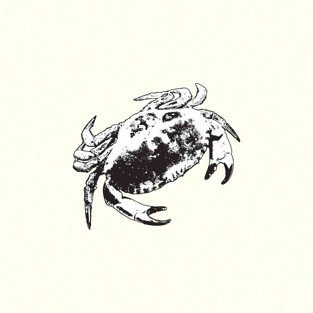 Crab illustration