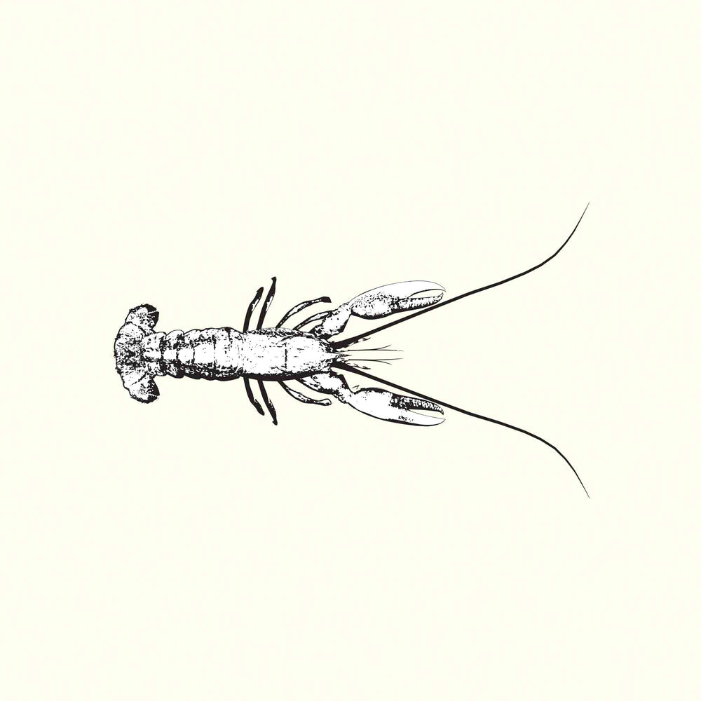 Lobster